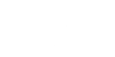 Like a Boss
